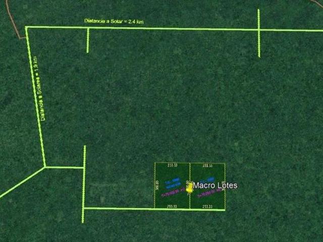 Venta macro lote 7 ha en Seyé, Yucatán | Oportunidad eco