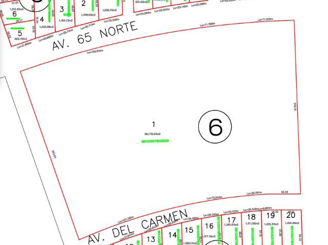 Venta Macrolote de 69,179 m? con cuatro frentes sobre principales avenidas Playa del Carmen