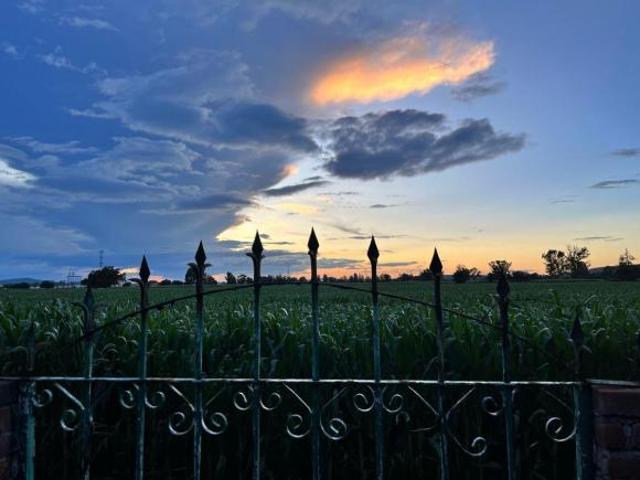 Venta o Renta Quinta Campestre Amueblada en Pedro Escobedo, Querétaro
