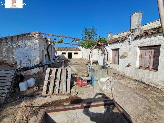 VENTA PARCELA DE COLONOS EN EL TERMINO DE VALDELACALZADA, CON LUZ Y AGUA, 3,7 HECTAREAS, CASA, CUADR