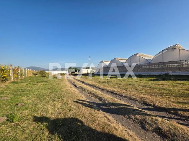 VENTA TERRENO EN ATLIXCO, PUEBLA