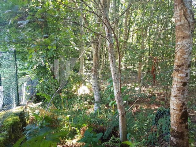 VENTA PARCELA RUSTICA 4127M2 MOIMENTO FORNELOS DO MONTE