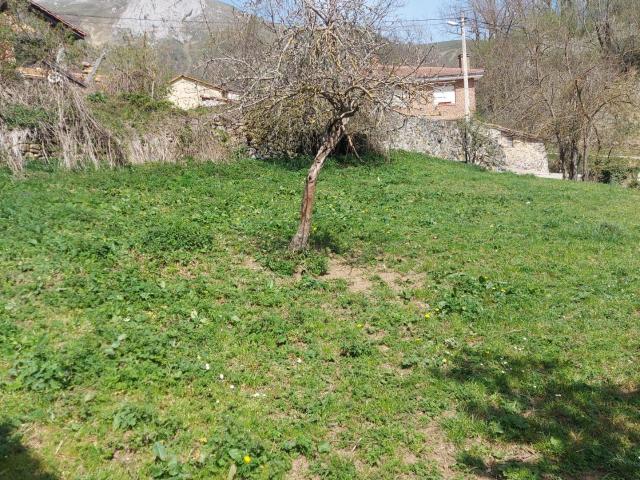 Venta parcela urbana en Pesaguero