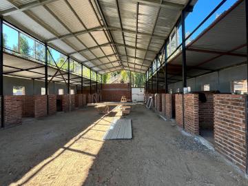 Venta Parcela 5.000 m2 Cauquenes
