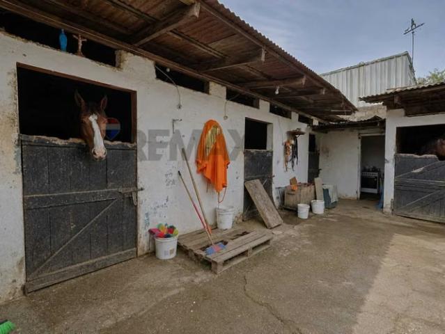 Venta propiedad comercial | caballeriza | 1 dormitorios por 4844.00 en Independencia