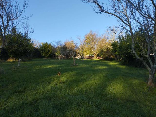 Venta Propriedades Rurais Cabanas La Coruña DS84383238