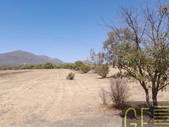 Venta Rancho 77 Ha Ezequiel Montes, Querétaro