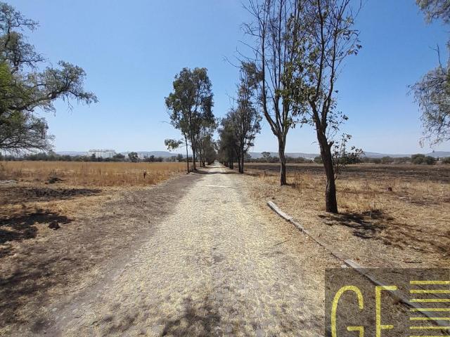 Venta Rancho 77 Ha Ezequiel Montes, Quer?taro