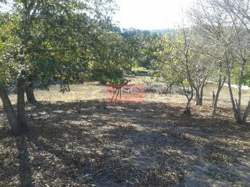 Orense, Viloria, Castropodame, León, Castilla y León, Castilla y León