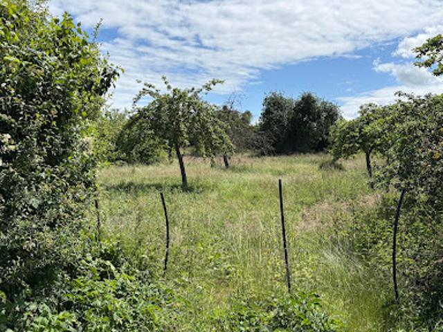 Vente Maison 4 pièces 69.68 m2 Berlaimont