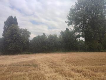 95450, Théméricourt, Val-d'Oise, Île-de-France