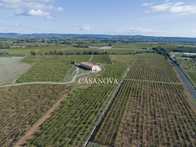 Vente Maison 1 pièce 0 m2 Saint André de Sangonis