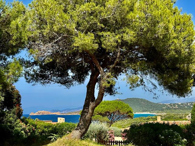 Vente Villa 4 pièces 0 m2 Corbara
