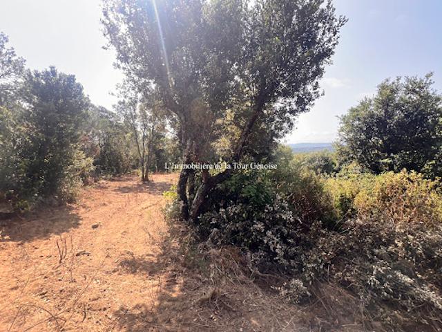 Vente Villa 4 pièces 105 m2 Sotta
