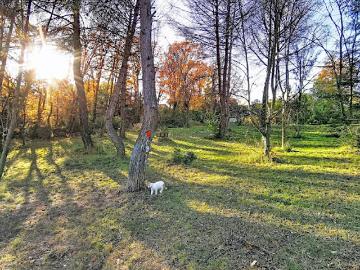 Vente Villa 4 pièces 105 m2 Los Masos