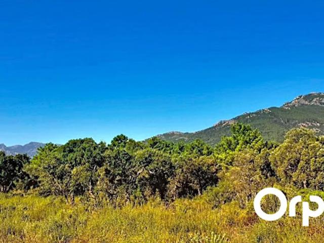 Vente Villa 4 pièces 110 m2 San Gavino di Carbini