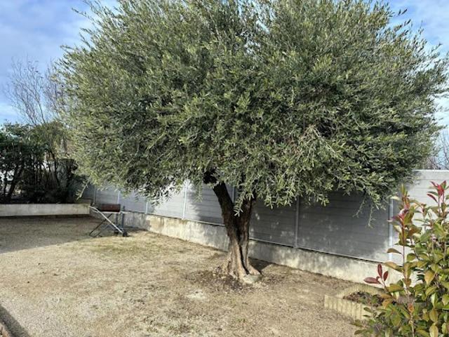 Vente Villa 4 pièces 125 m2 Nimes