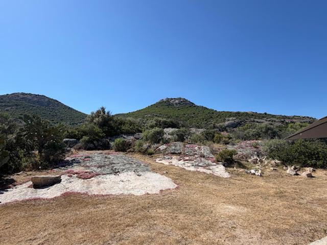 Vente Villa 4 pièces 1541 m2 Calenzana