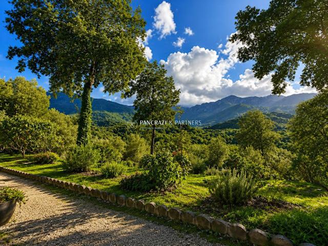 Vente Villa 4 pièces 159 m2 Ucciani
