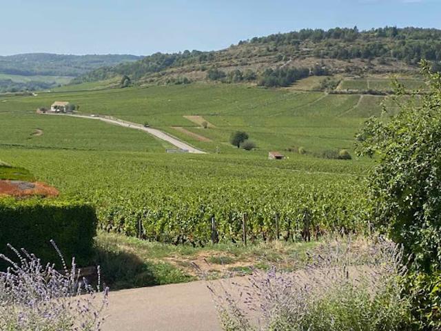 Vente Villa 5 pièces 115 m2 Meursault
