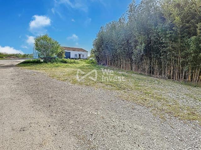 Vente Villa 5 pièces 197 m2 Mauguio