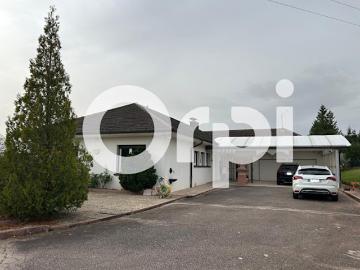 Vente Villa 7 pièces 247 m2 Saint die des vosges
