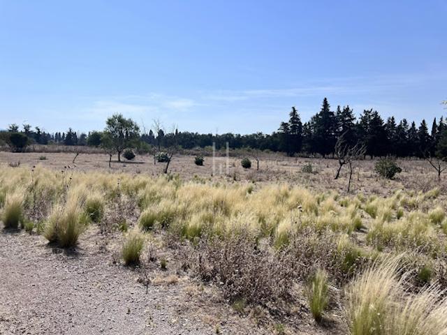 Vente Villa 5 pièces 340 m2 Mollégès
