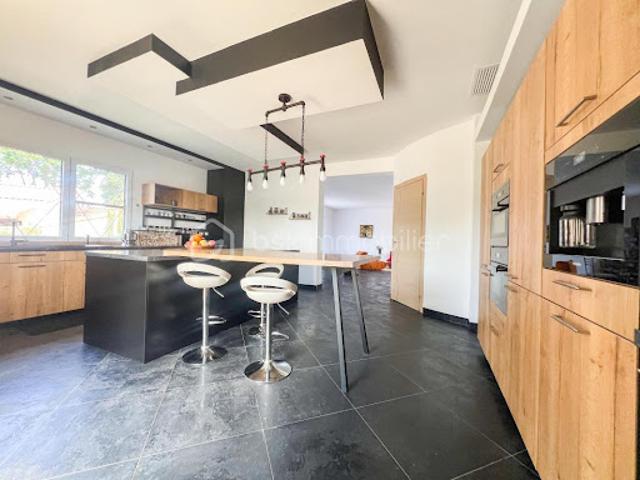 Vente Villa 7 pièces 240 m2 Saint Hilaire de Brethmas