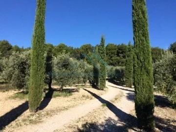Vente Villa 8 pièces 180 m2 Mouriès