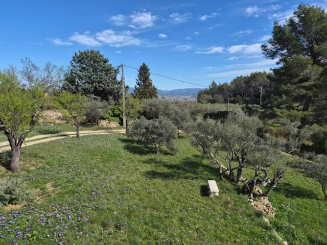 Vente Villa 8 pièces 198 m2 Cuers