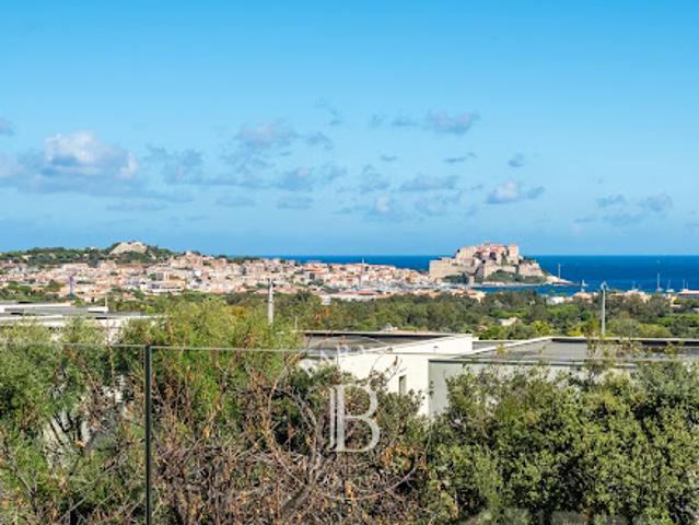 Vente Villa 8 pièces 207 m2 Calvi