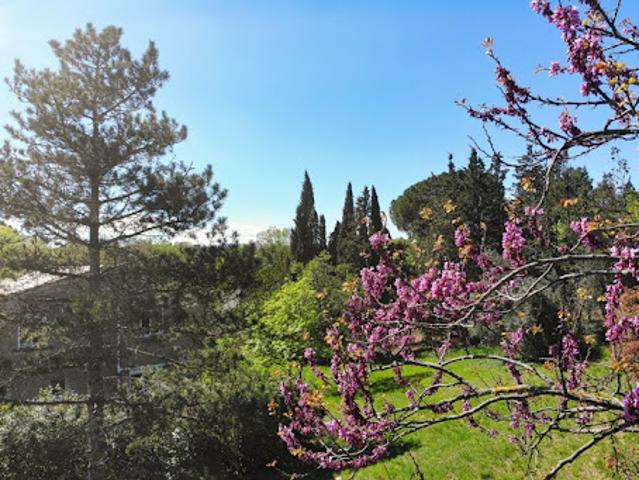Vente Villa 9 pièces 174 m2 Le Bosc