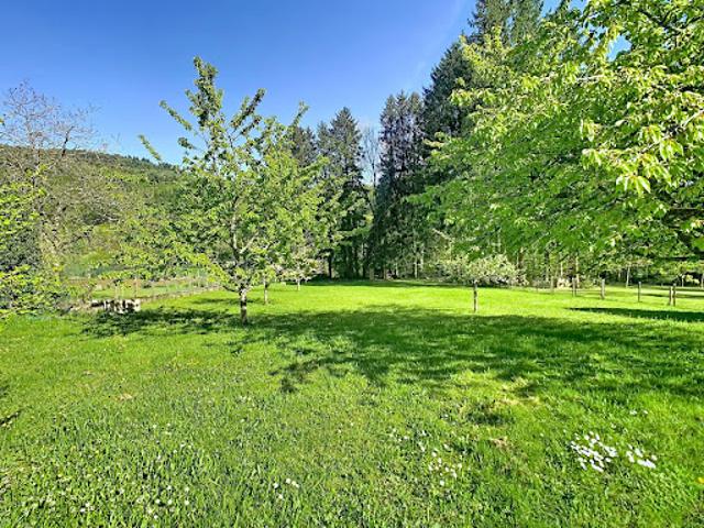 Vente Villa 13 pièces 340 m2 Niederbruck