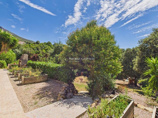 Vente Villa 11 pièces 238 m2 Cuttoli Corticchiato