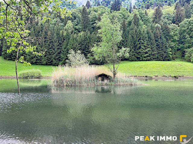 Vente Appartement 4 pièces 54.1 m2 Mieussy