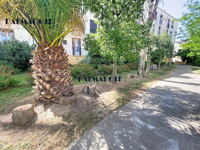 Vente Appartement 4 pièces 81.05 m2 Perpignan