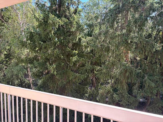 Vente Appartement 4 pièces 82.18 m2 Fontenay le Fleury