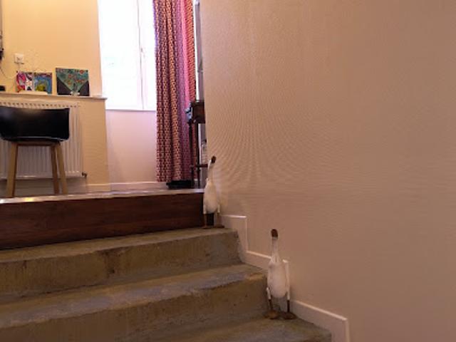 Vente Appartement 4 pièces 94 m2 Brive la Gaillarde