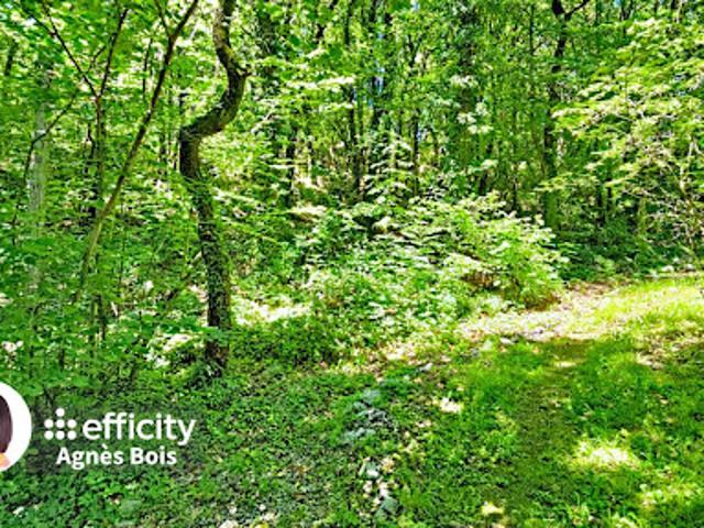 Vente Appartement 4 pièces 99.86 m2 Sassenage