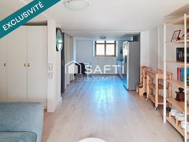 Vente Appartement 4 pièces 141 m2 Neuf Brisach