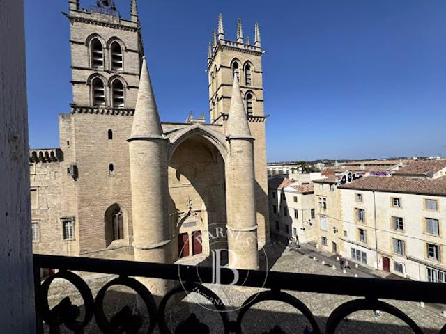 Vente Appartement 4 pièces 150 m2 Montpellier