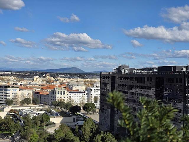 Vente Appartement 4 pièces 155 m2 Montpellier