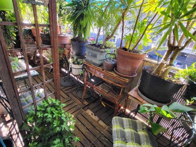 Vente appartement 4 pièces Angers Centre 49