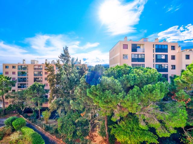 Vente Appartement 4 pièces Bastia Toga