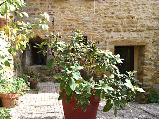 Vente Appartement 6 pièces 137.41 m2 Saint Cyr au Mont d'Or