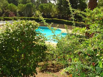 Vente Appartement 6 pièces 196 m2 Marseille 8ème