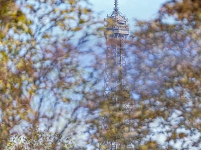 Vente Appartement 6 pièces 213 m2 Paris 16ème