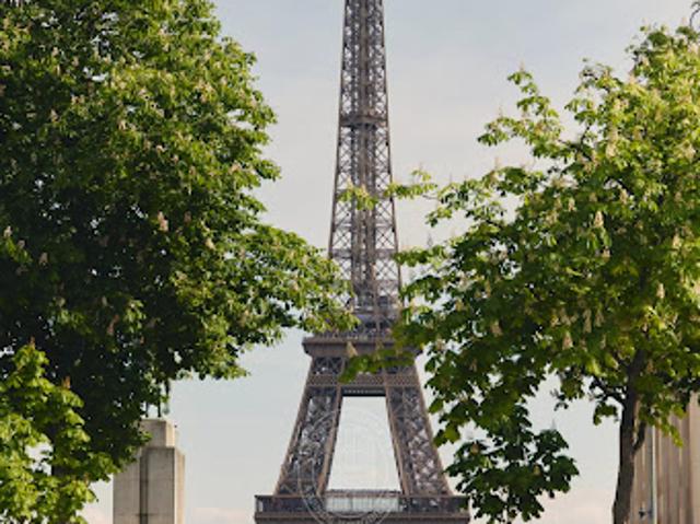 Vente Appartement 7 pièces 236.14 m2 Paris 16ème