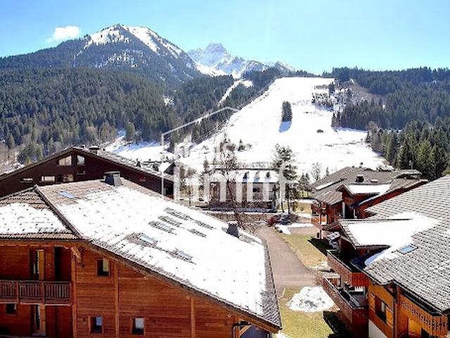 Vente Appartement 8 pièces 321.4 m2 La Chapelle d'Abondance