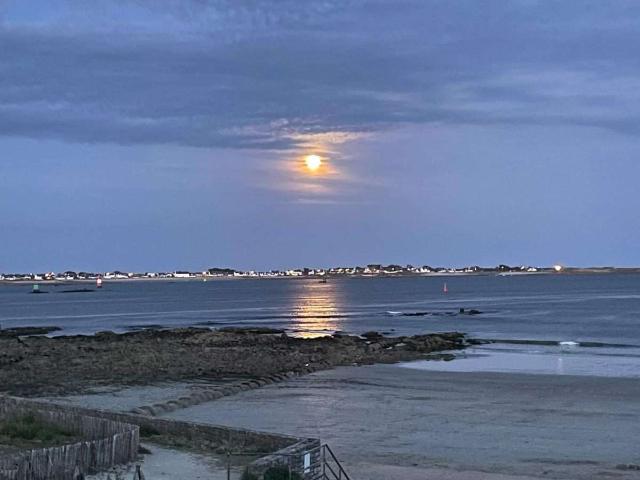 Vente appartement 1 pièce Larmor Plage 56